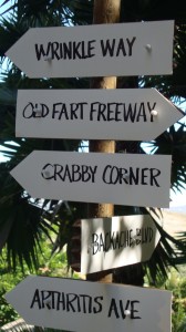 Luau Party Signs