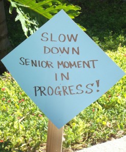 Pool Party Signs