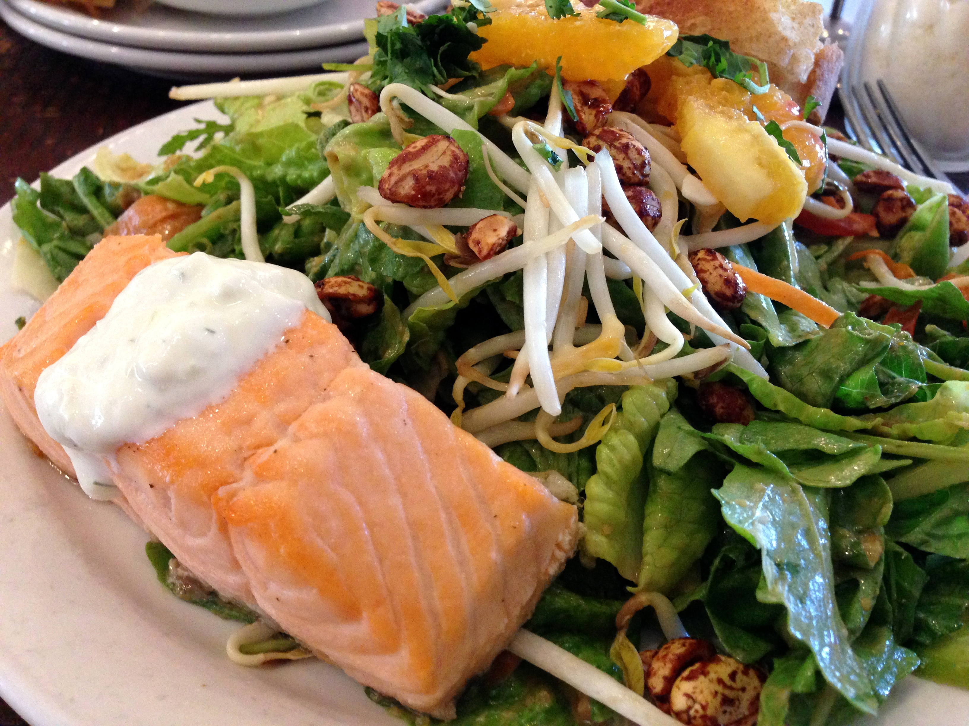 Asian Salad with Salmon