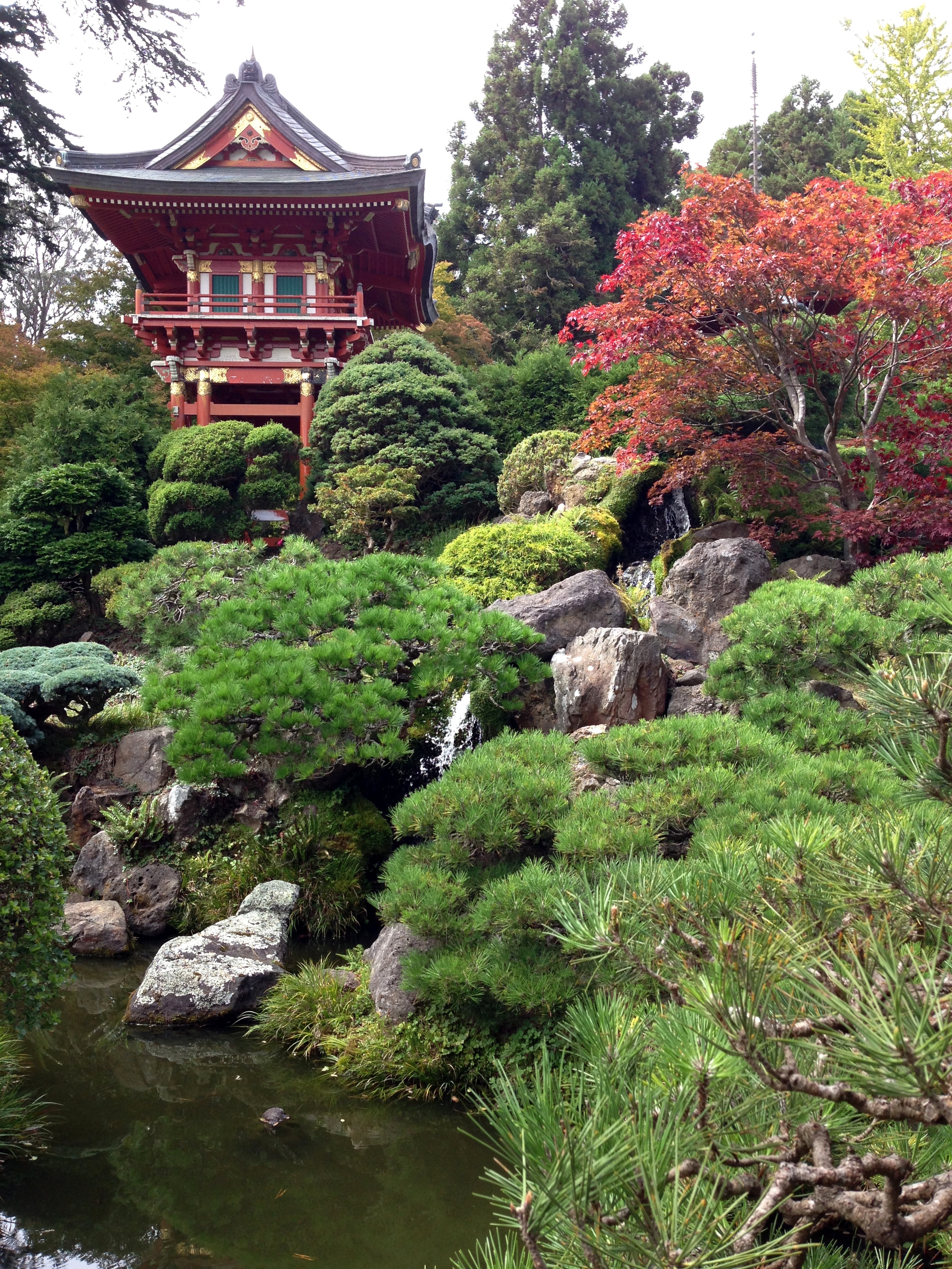 Japanese Tea Garden SF