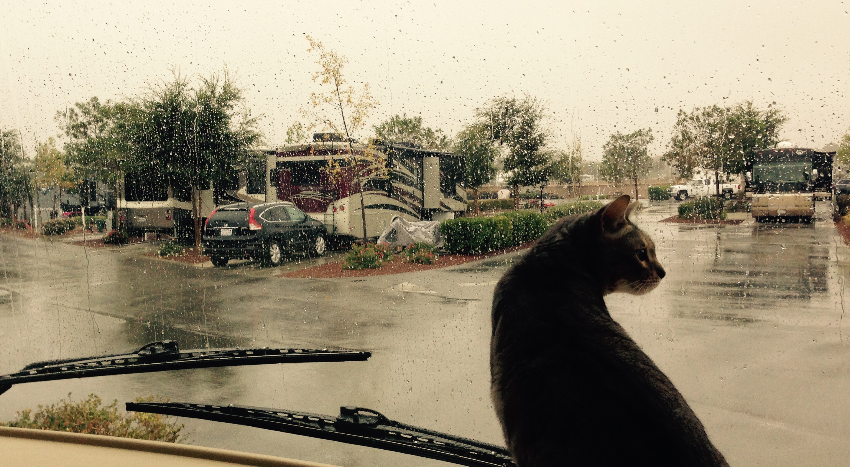 Kato Rain Watching
