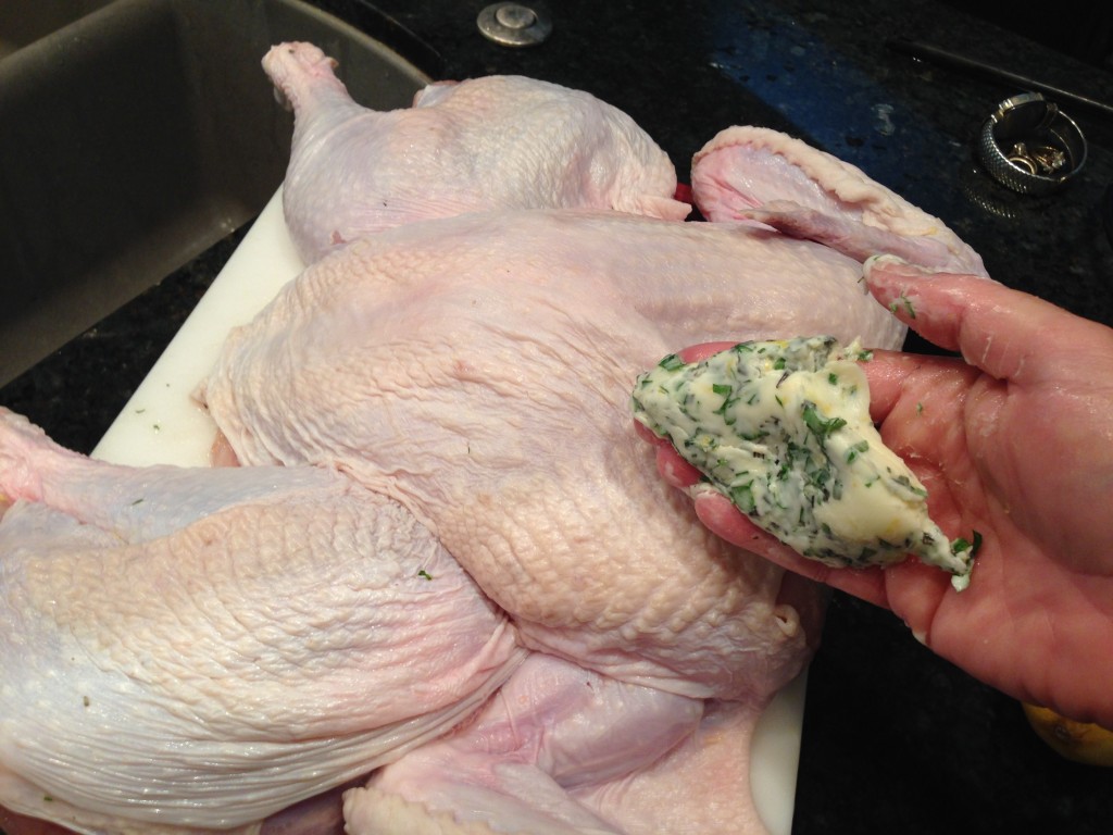 One Hour Roast Turkey Life of the Party Always!