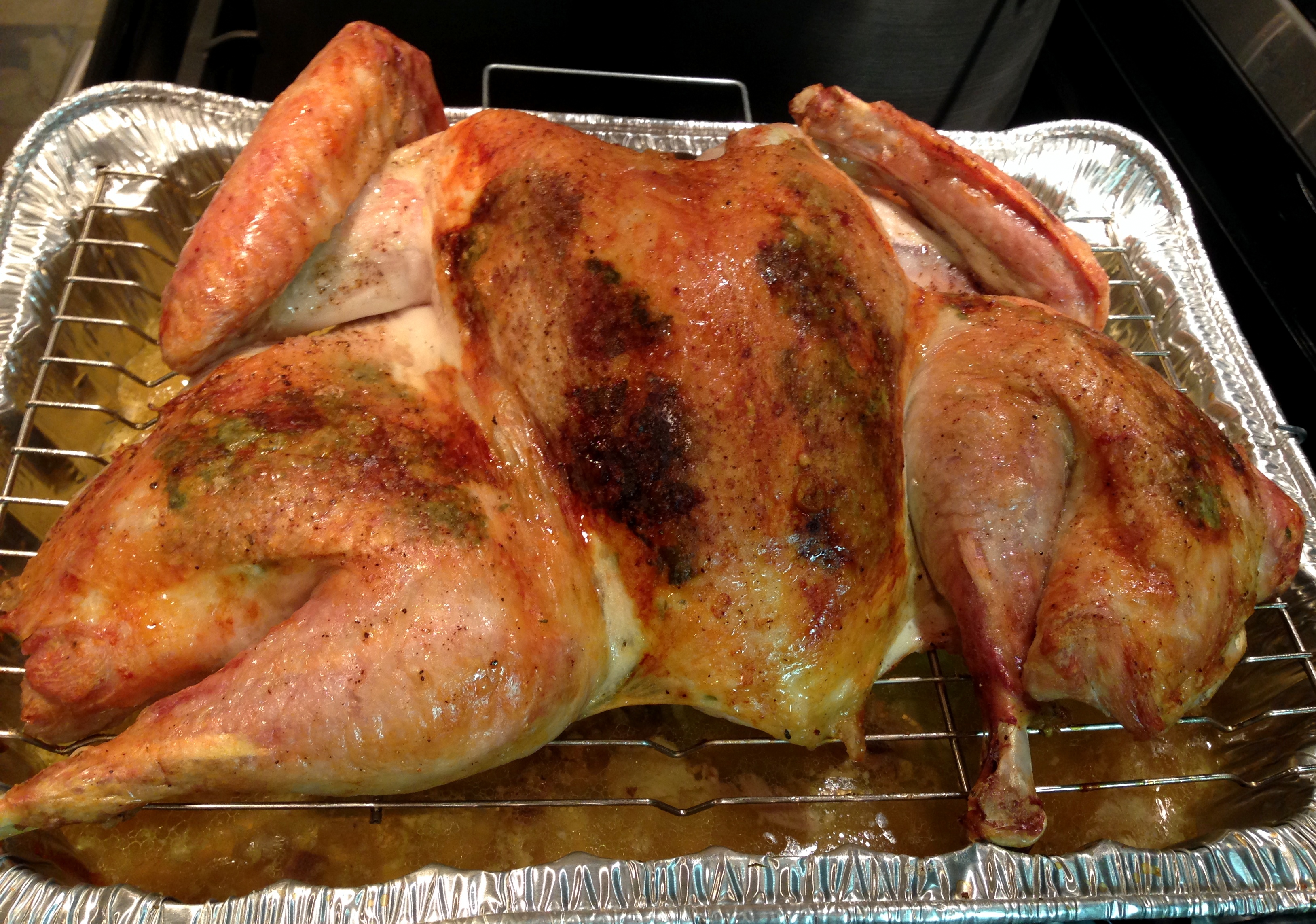 One Hour Roast Turkey Life Of The Party Always 